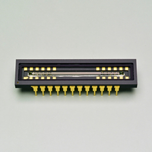 HAMAMATSU 滨松  S15351-2048   CCD 线阵图像传感器